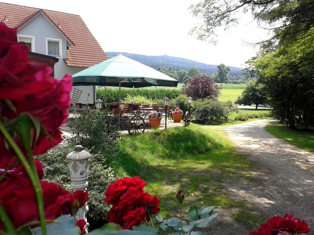 Schönsee Hotel Gaisthaler Hof المظهر الخارجي الصورة