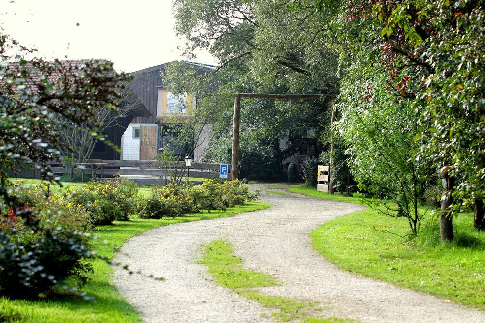 Schönsee Hotel Gaisthaler Hof المظهر الخارجي الصورة